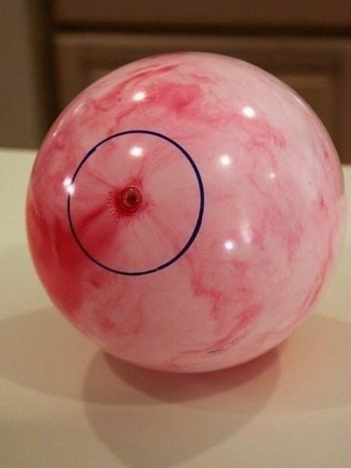 Заблуждения о кастрации и стерилизации Скоморовский Кирилл Александрович, врач-невропатолог, D. V. M., B. Sc. 03