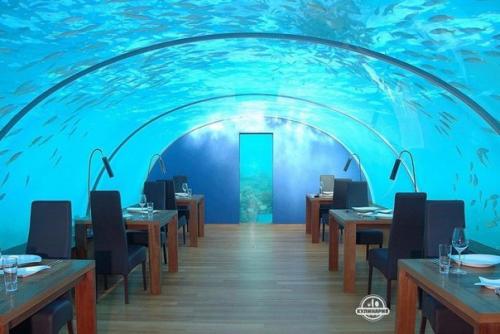 Иванна Петрова.  Маффины по диете Дюкан.  Чередование Кефир - 100 граммов.  ОО - 30 граммов, 2 хорошие с горкой ст л., с мукой ОО будет нежнее.