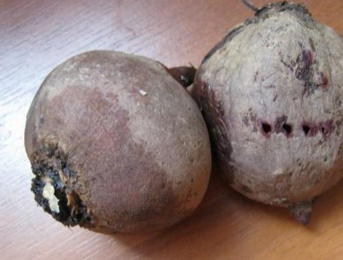 Салат из свеклы аппетитный. 02