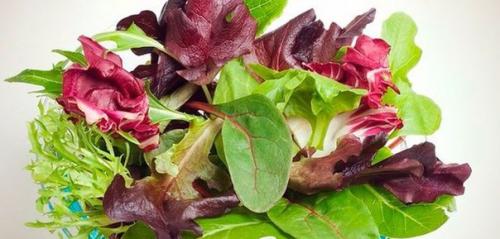 Зелёный салатик.  4 ст.