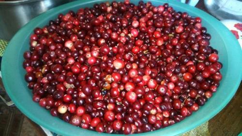 Клюквенная наливка.  Активное время готовки 15 мин + время на настаивание. 01