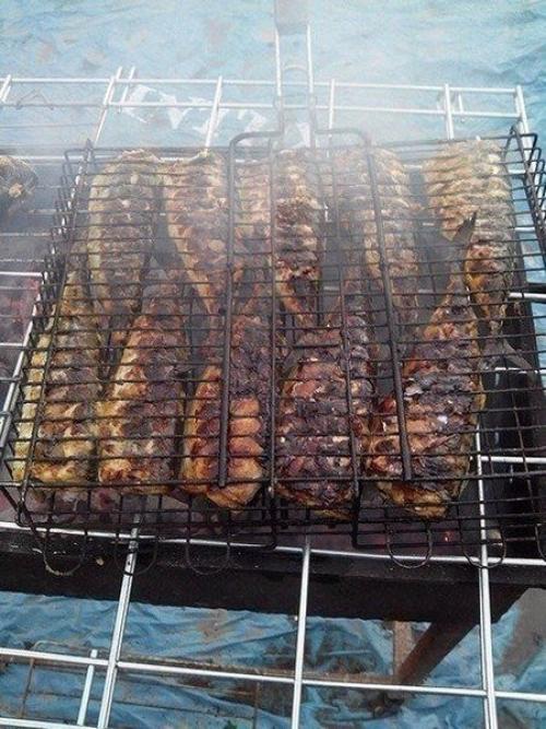 Скумбрия на мангале. 02