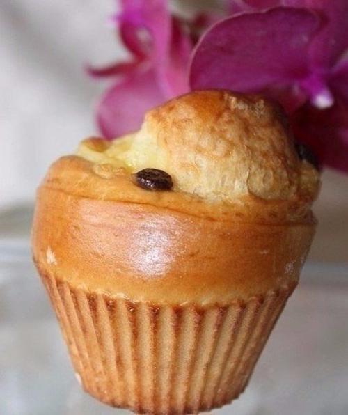 Булочки - бриоши с кремом патисьер.