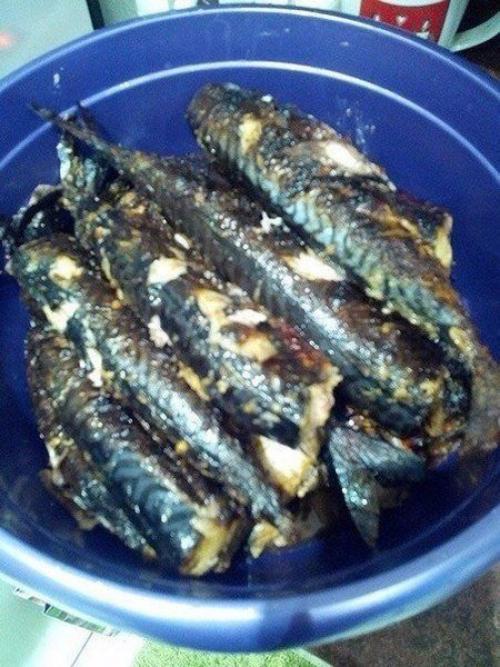 Скумбрия на мангале. 04