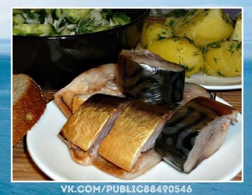 Огонь.  Свою маринованную скумбрию не поменяю ни на что!