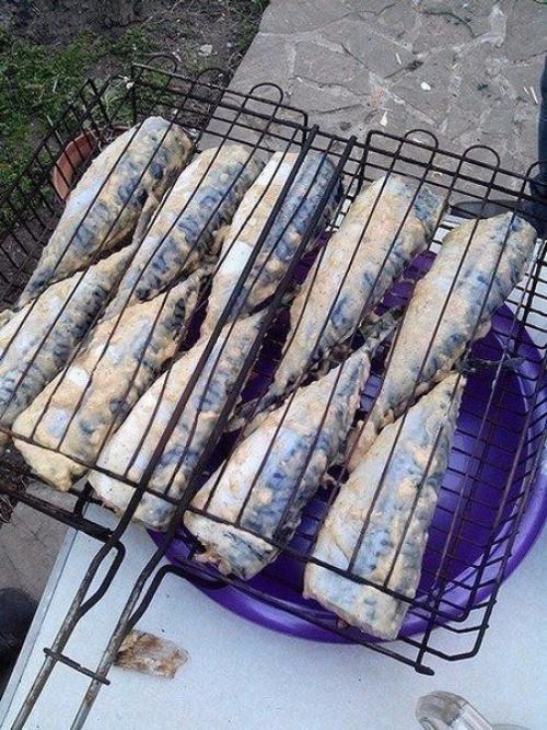 Скумбрия на мангале. 01