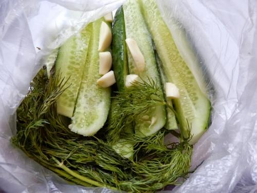 Как засолить огурцы в пакете? Как засолить огурцы в пакете?