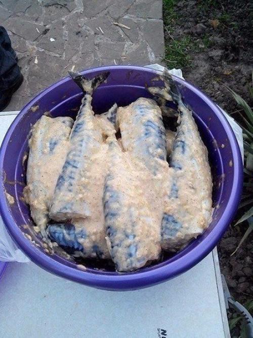 Скумбрия на мангале.
