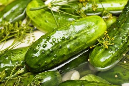 Вкусные малосольные огурцы: простой рецепт для хрустящей и ароматной закуски! 

