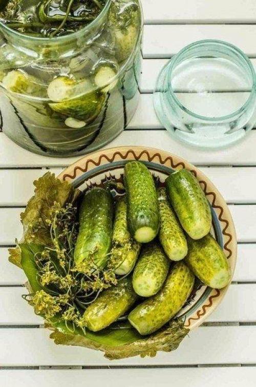 Быстрые малосольные огурцы. 01