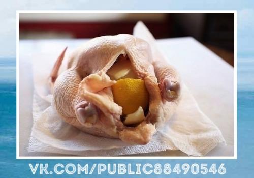 Любимый рецептик. Курица с травами и лимоном. 03 Любимый рецептик. Курица с травами и лимоном. 03