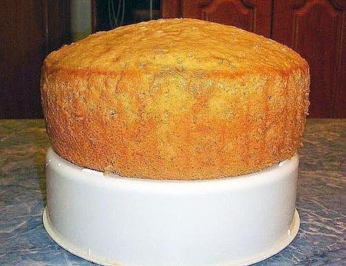 Бисквит на любом лимонаде с газом. 01