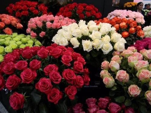 Костюм отглажен.  Учебники в обложках.