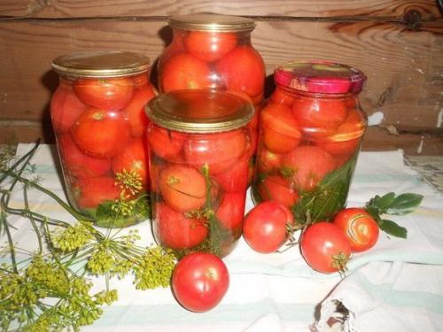 Вкусные помидоры с медовым ароматом!