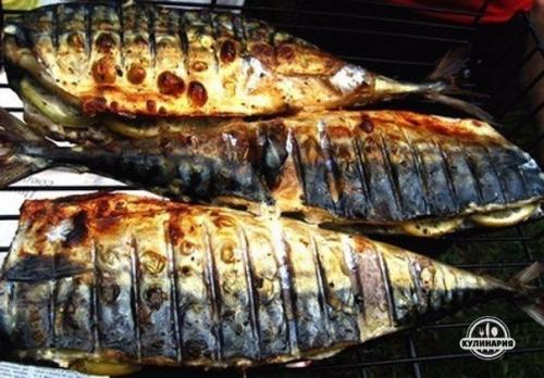 Скумбрия гриль с лимоном. 05