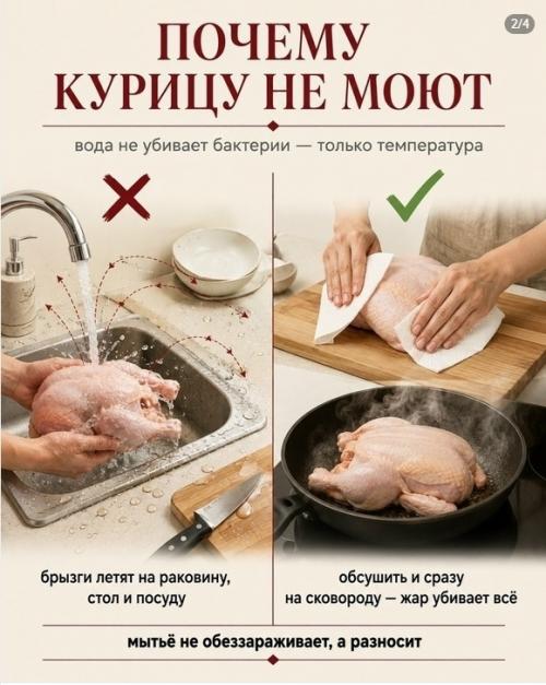 Курицу нельзя мыть перед готовкой. 01 Курицу нельзя мыть перед готовкой. 01