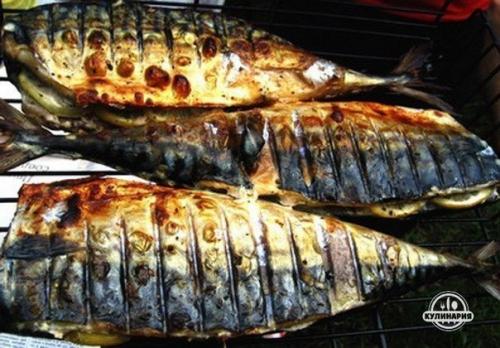 Скумбрия гриль с лимоном.