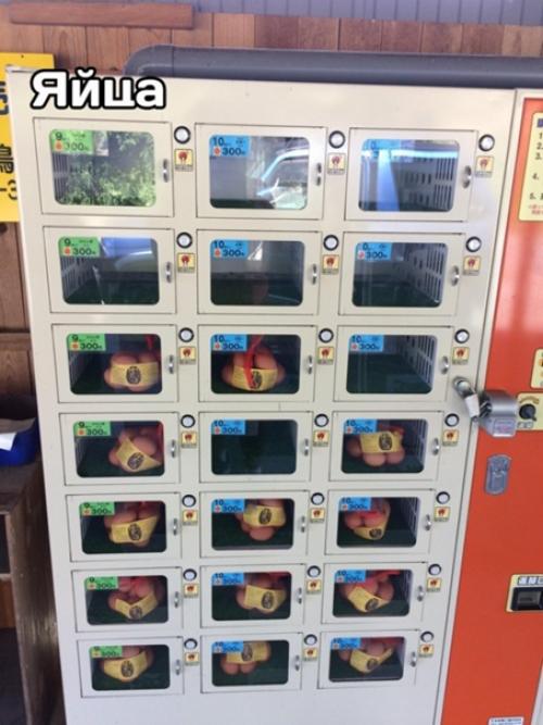 Класс!  Это автоматы с едой. 02