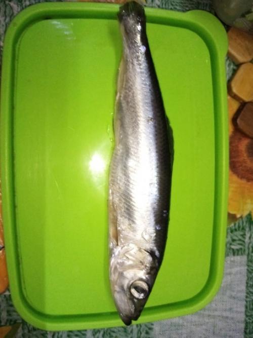 Хочу поблагодарить Елену Алексееву за её рецепт солёной селёдки, который был опубликован 11 сентября.