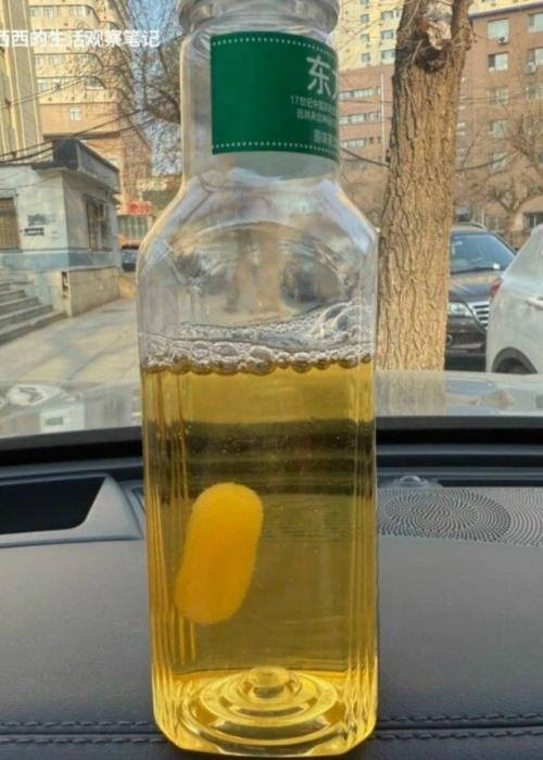 Жители Китая начали заводить чайную плесень в качестве домашних питомцев. 

