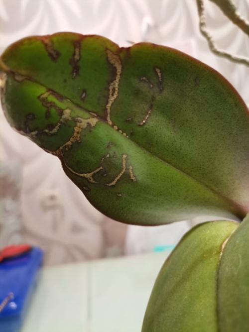 Здравствуйте!  Админ пожалуйста опубликуй.