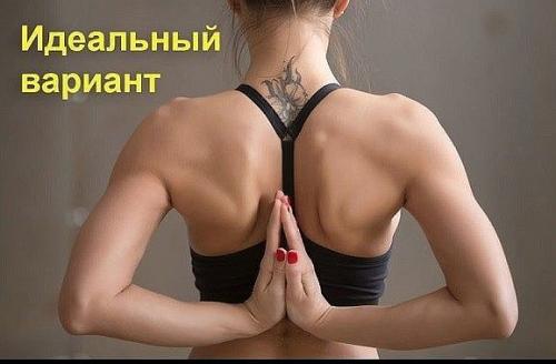 Спортивное питание для мужчин и женщин. 08
