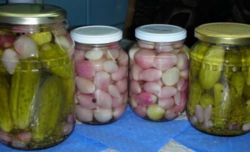 Заготовки - лук маринованный.