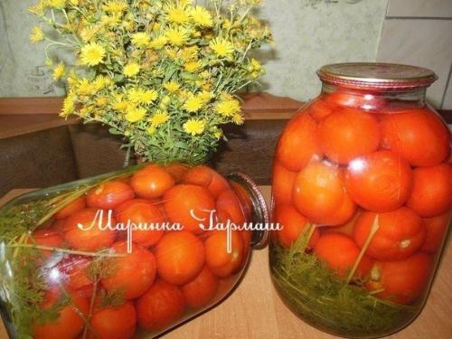Армянские помидоры с морковной ботвой.