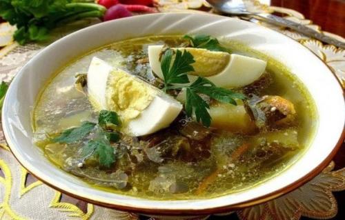 Витаминный удар: весенний зелёный суп со свежим щавелем.