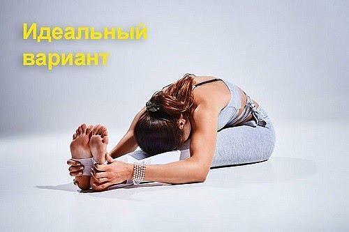 Спортивное питание для мужчин и женщин. 04