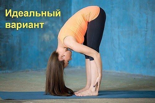 Спортивное питание для мужчин и женщин.