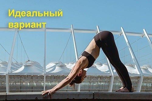 Спортивное питание для мужчин и женщин. 06
