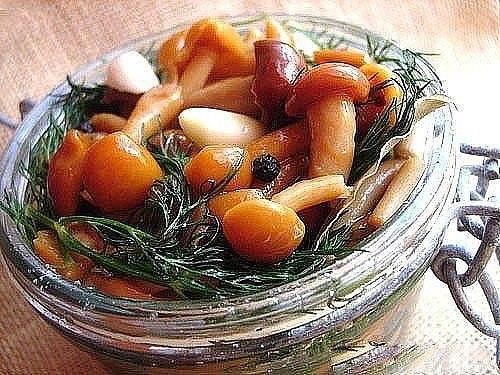 1. засолка грибов - холодный способ. 01