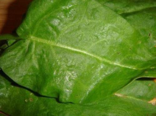 Щавелевый суп с фрикадельками. 03