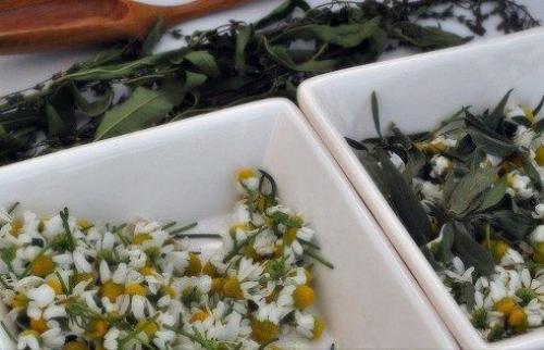 Отвары для нормализации пищеварения.