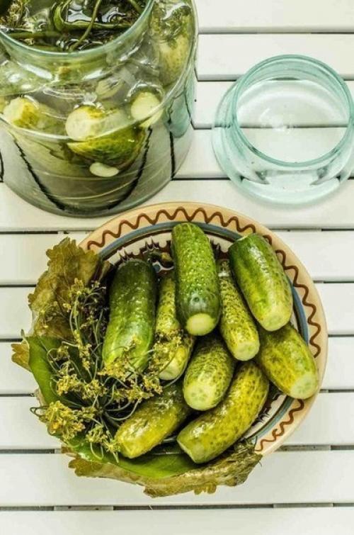 Быстрые малосольные огурцы. 01