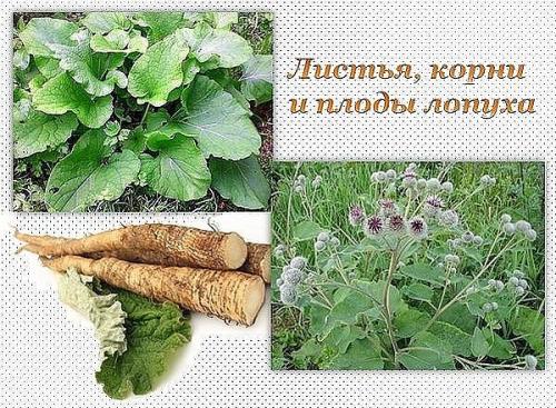 Старинные рецепты для женского здоровья.