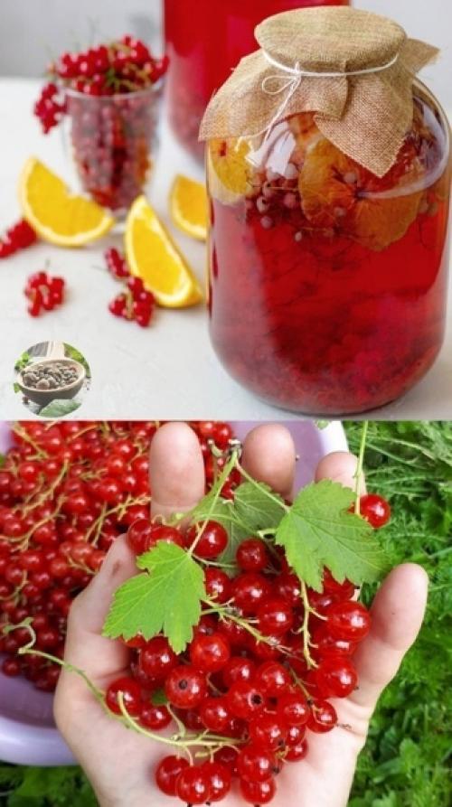 Кто ещё не знает, что сделать с красной смородиной?