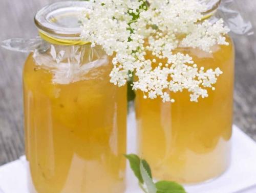 Варенье из цветков бузины. Варенье из цветков бузины.