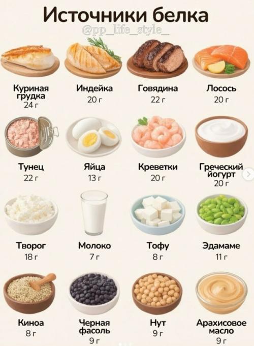 Это твоя шпаргалка по макронутриентам на каждый день.

