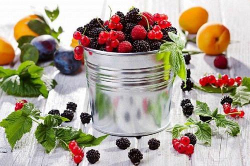 Плодовые косточки иногда полезнее, чем сами фрукты.