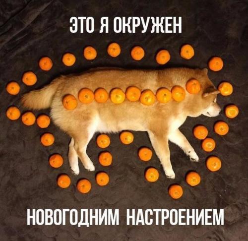 Домашние сосиски с курицей. Домашние сосиски с курицей.