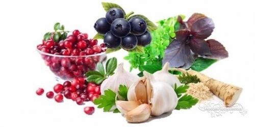 Природные антибиотики.   1. хрен.