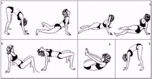 Совет дня.   Пять упражнений поля брегга для восстановления позвоночника?