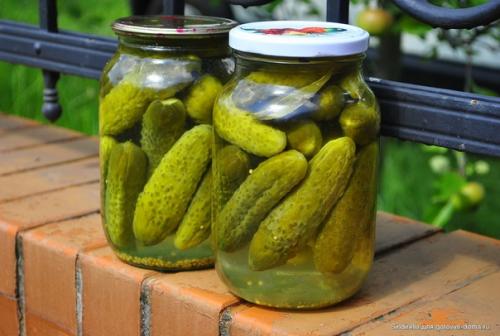 Малосольные огурцы по-венгерски.