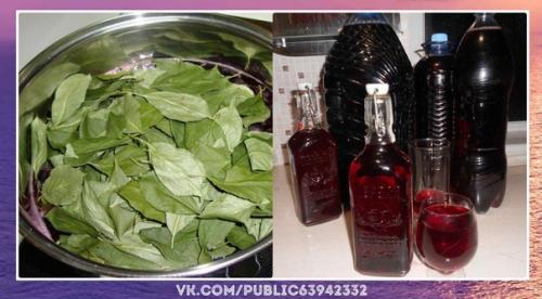 Нереально.  Ароматная нaливочка 100 лиcтьев.