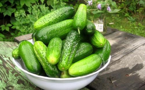 Как хранить свежие огурцы? Как хранить свежие огурцы?
