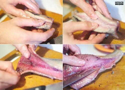 Селёдка по-голландски.  Такие банки за раз опустошаются! 02