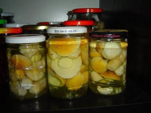 Мы маринуем белые грибы.