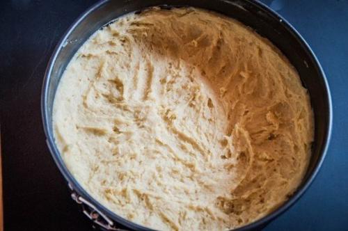 Пирог из полупесочного теста с творогом и абрикосами. 05